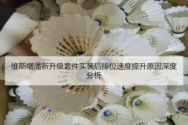 维斯塔潘新升级套件实装后排位速度提升原因深度分析