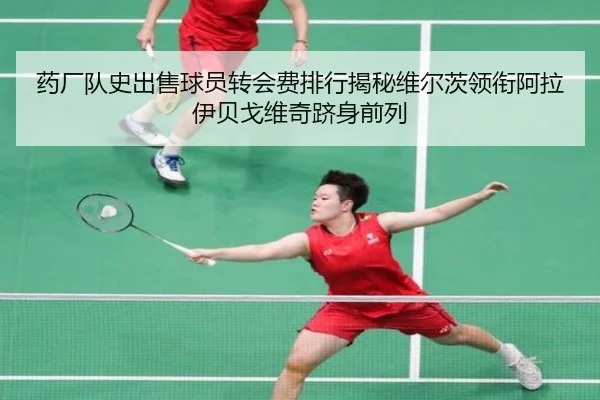 药厂队史出售球员转会费排行揭秘维尔茨领衔阿拉伊贝戈维奇跻身前列